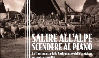 Pubblicati i quattro volumi della collana CAMBIO-VIA – Link per download